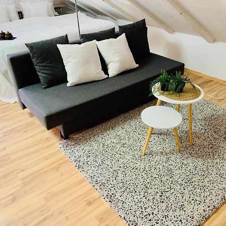 Studio Apartment In Direkter Naehe Zur Uniklinik Homburg ホンブルク エクステリア 写真