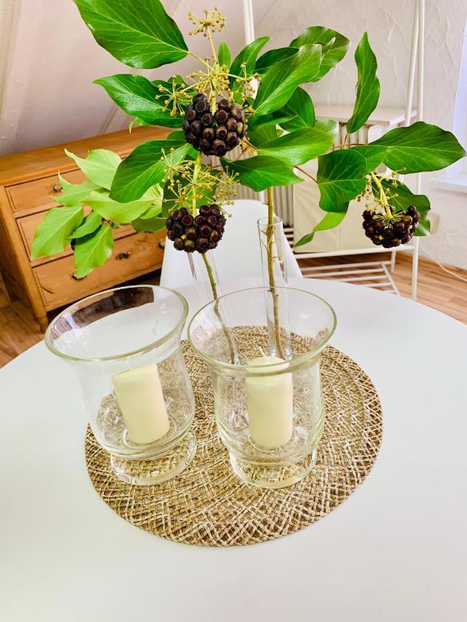 Studio Apartment In Direkter Naehe Zur Uniklinik Homburg ホンブルク エクステリア 写真