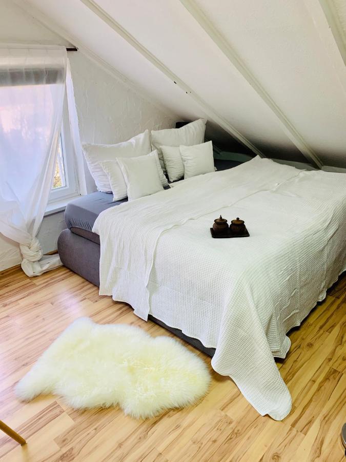 Studio Apartment In Direkter Naehe Zur Uniklinik Homburg ホンブルク エクステリア 写真