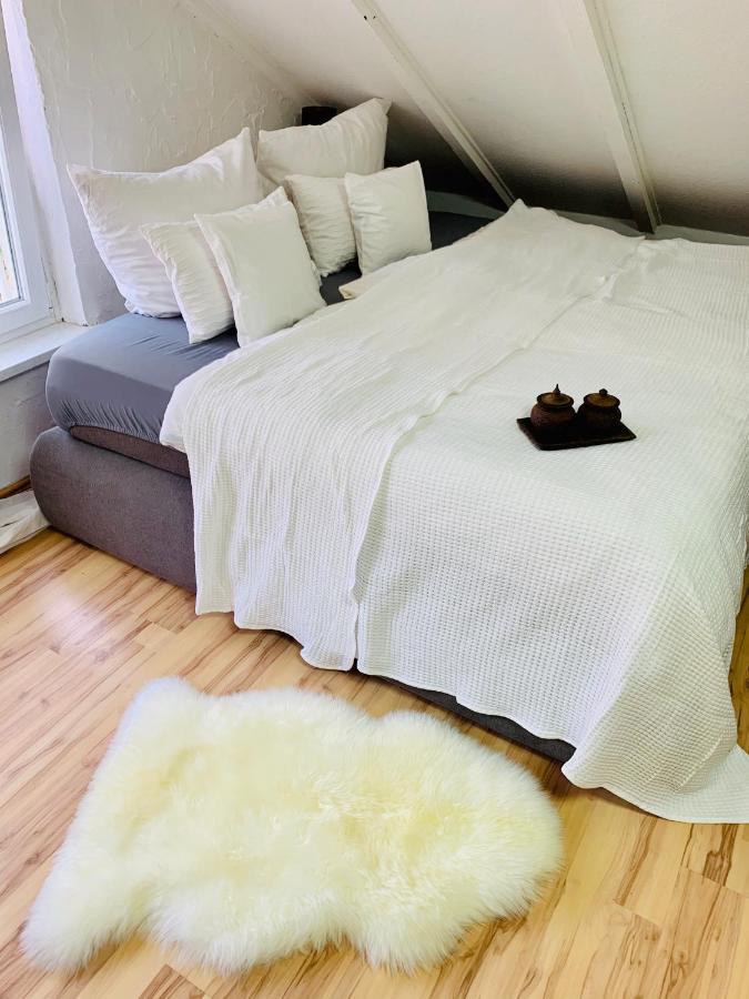 Studio Apartment In Direkter Naehe Zur Uniklinik Homburg ホンブルク エクステリア 写真