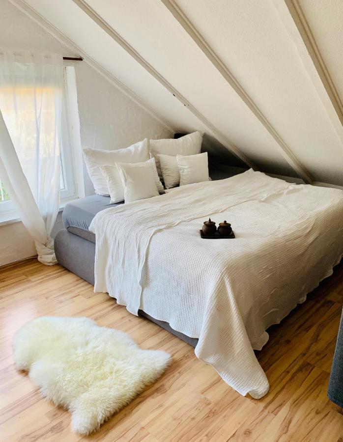 Studio Apartment In Direkter Naehe Zur Uniklinik Homburg ホンブルク エクステリア 写真