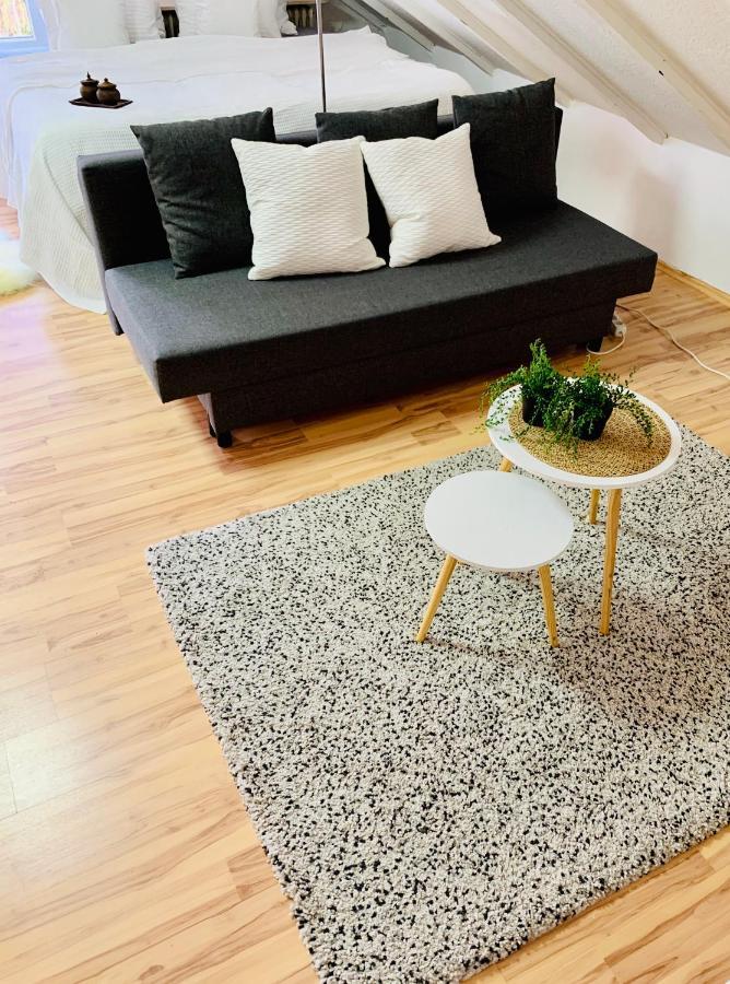 Studio Apartment In Direkter Naehe Zur Uniklinik Homburg ホンブルク エクステリア 写真