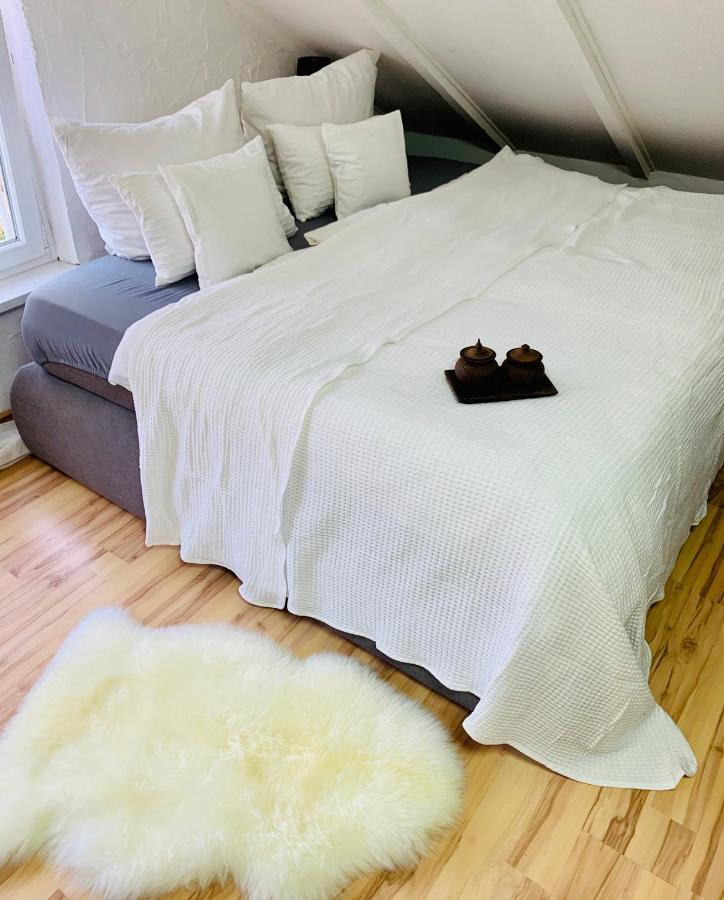 Studio Apartment In Direkter Naehe Zur Uniklinik Homburg ホンブルク エクステリア 写真
