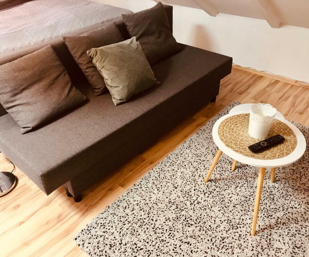 Studio Apartment In Direkter Naehe Zur Uniklinik Homburg ホンブルク エクステリア 写真