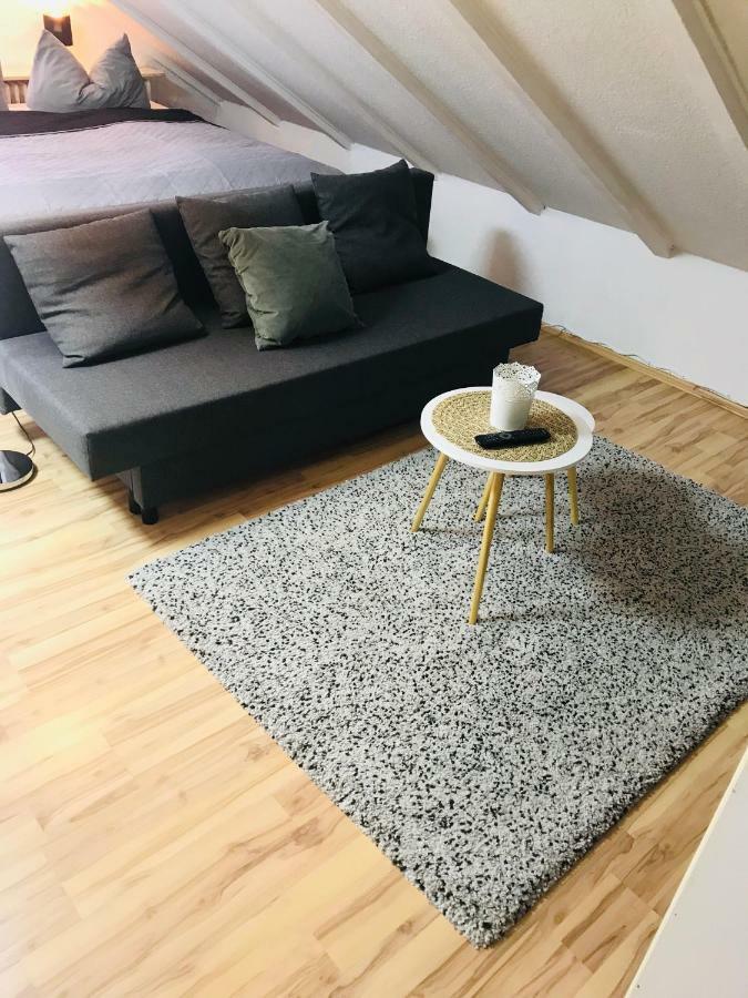 Studio Apartment In Direkter Naehe Zur Uniklinik Homburg ホンブルク エクステリア 写真
